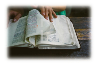 Bible study reflection and Scripture meditation questions