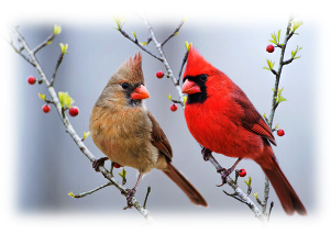 Christian encouragement, prayer, and hope through faith in Jesus Christ